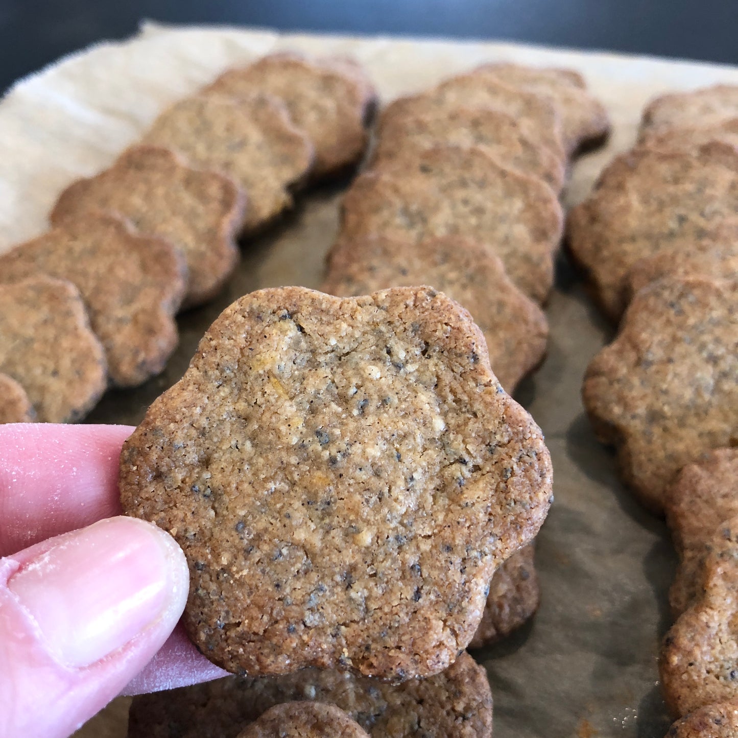 Sablés sarrasin, citron et pavots sans gluten