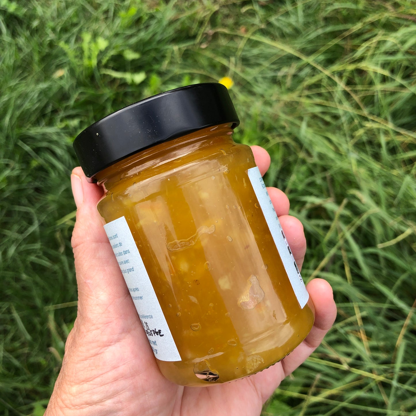 Confiture Pomme/Gingembre/Ecorces d'oranges confites